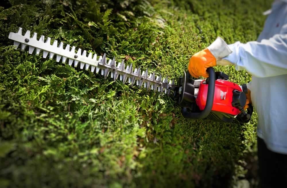 Hedge Trimmer
