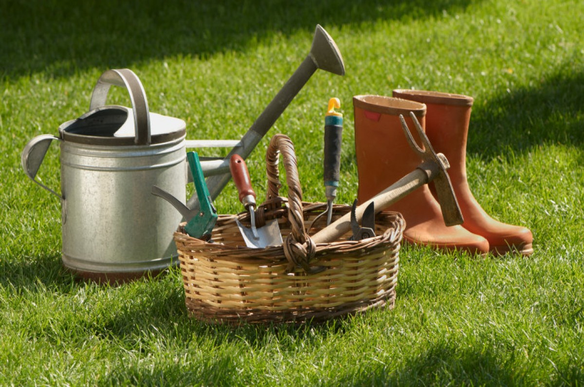 ТОП необходимых инструментов для садовода огородника
