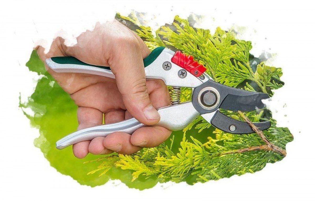 Как выбрать садовые ножницы