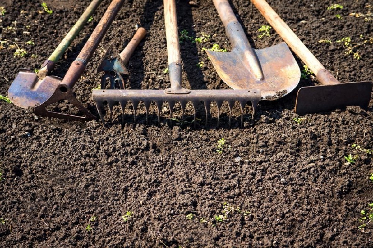 Лопата и другие инструменты для обработки почвы