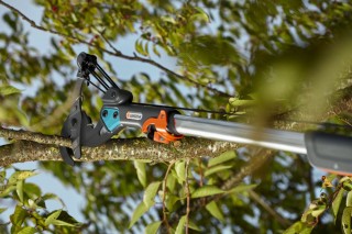 Сучкорез штанговый телескопический - инструмент для обрезки деревьев на высоте