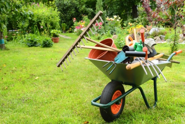 Какие инструменты обязаны быть у садовода?