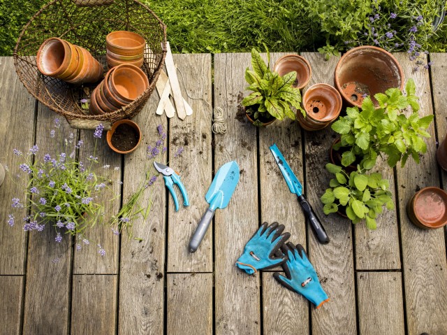 Садовый инструмент для посадки растений
