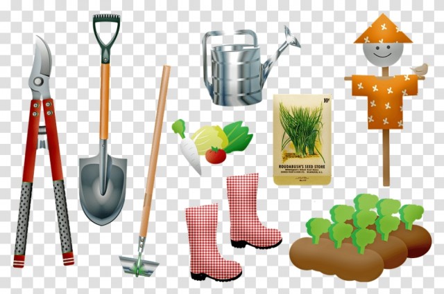 Какие инструменты для сада и огорода необходимы на участке
