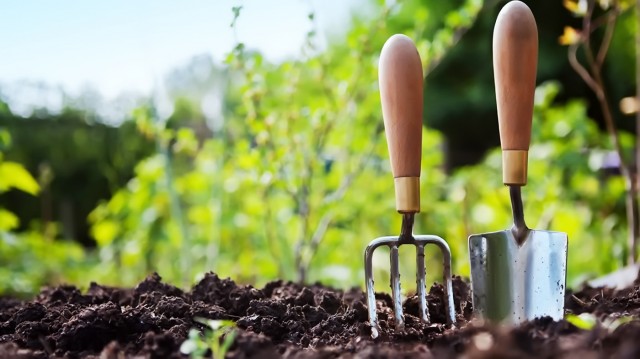 Семь незаменимых инструментов для весенних работ в саду